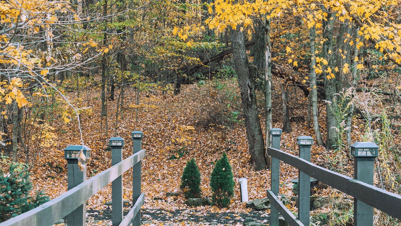 Photo of Outdoor in Beach City