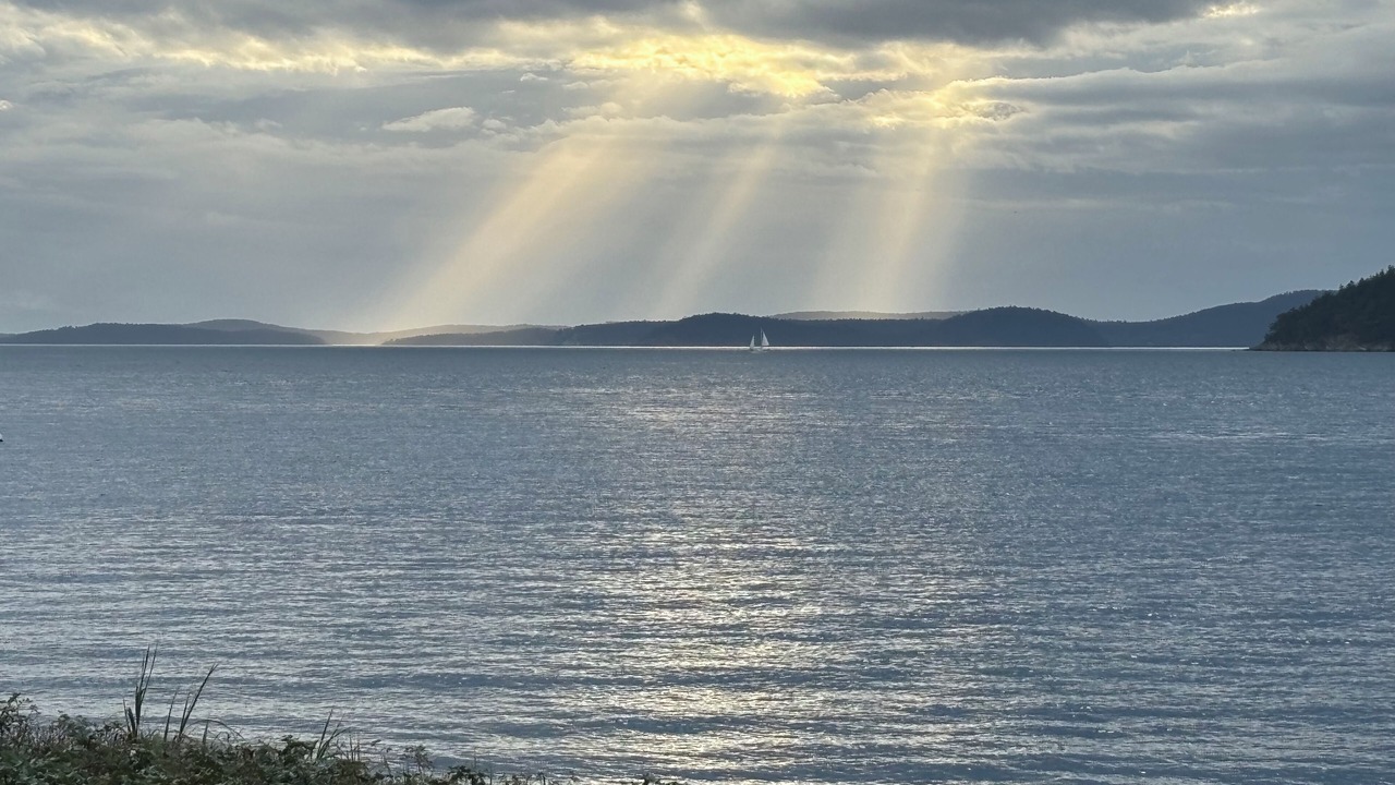 Photo of Others in Anacortes