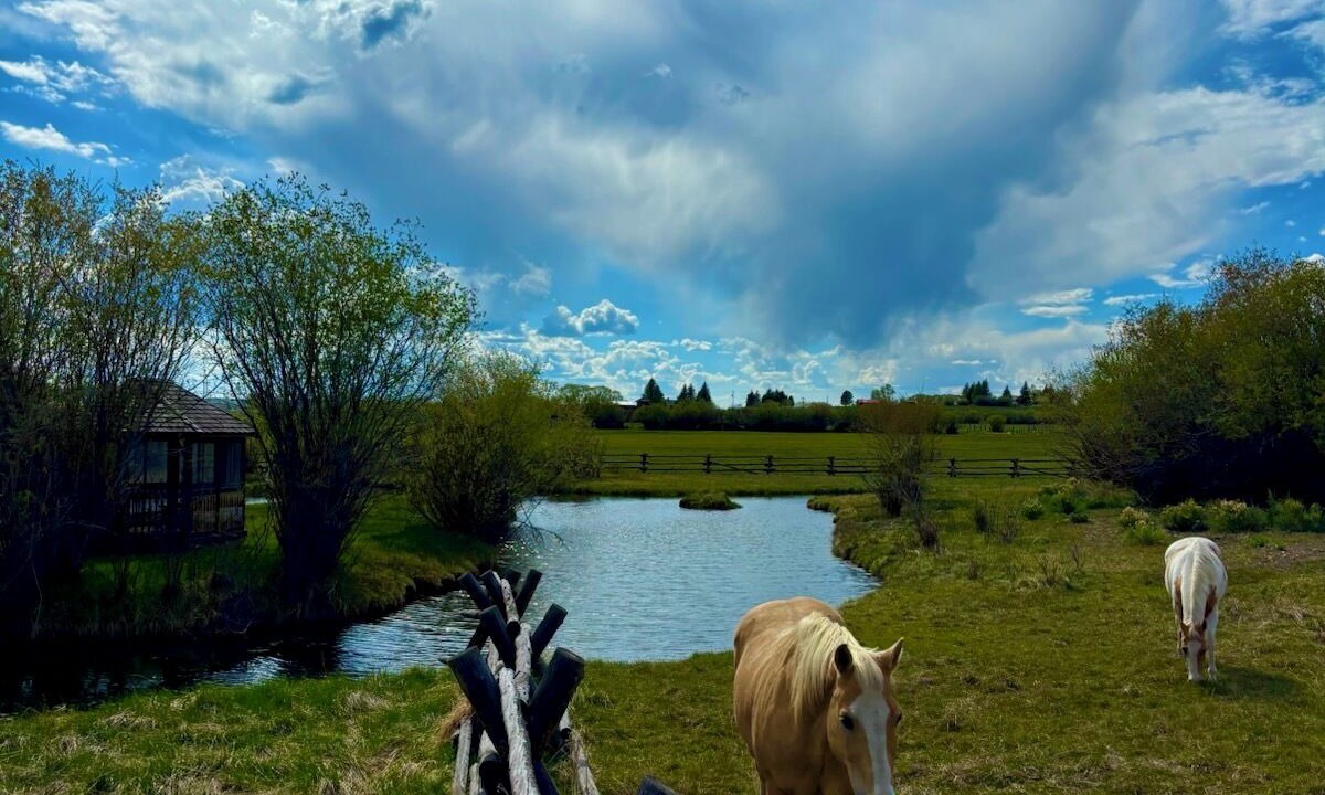 Photo of Others in Pinedale