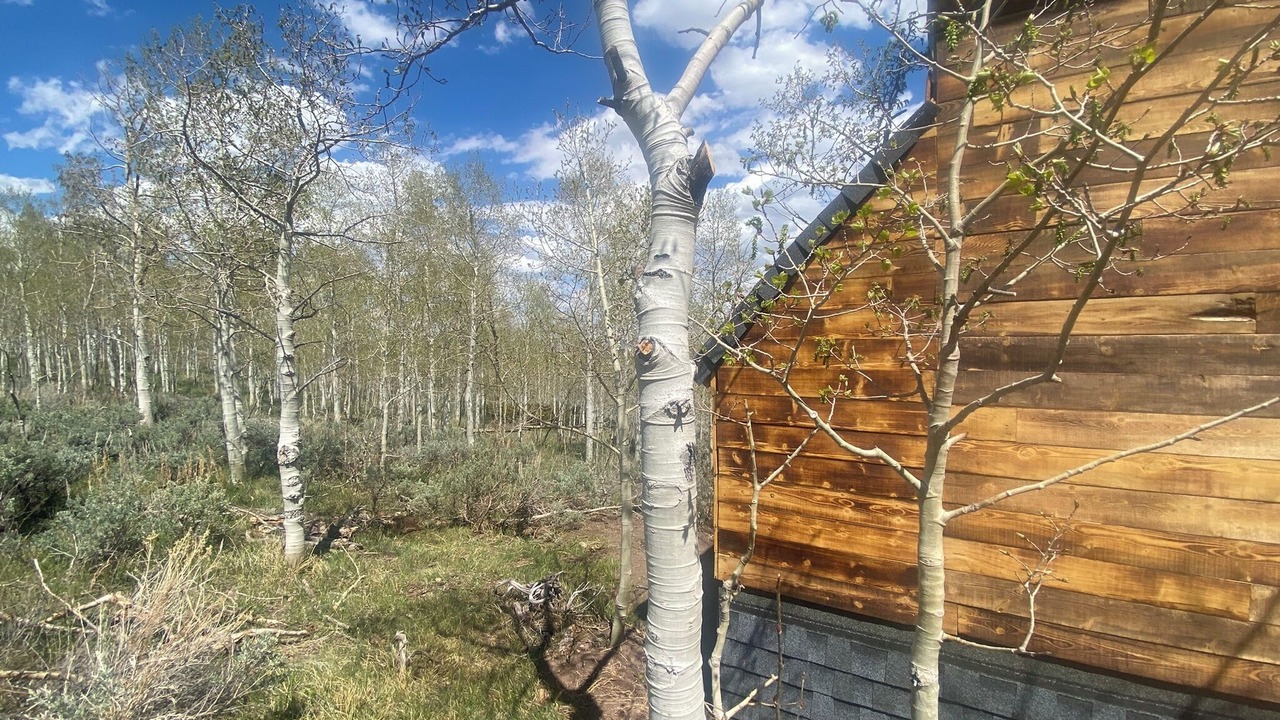 Photo of Others in Walden