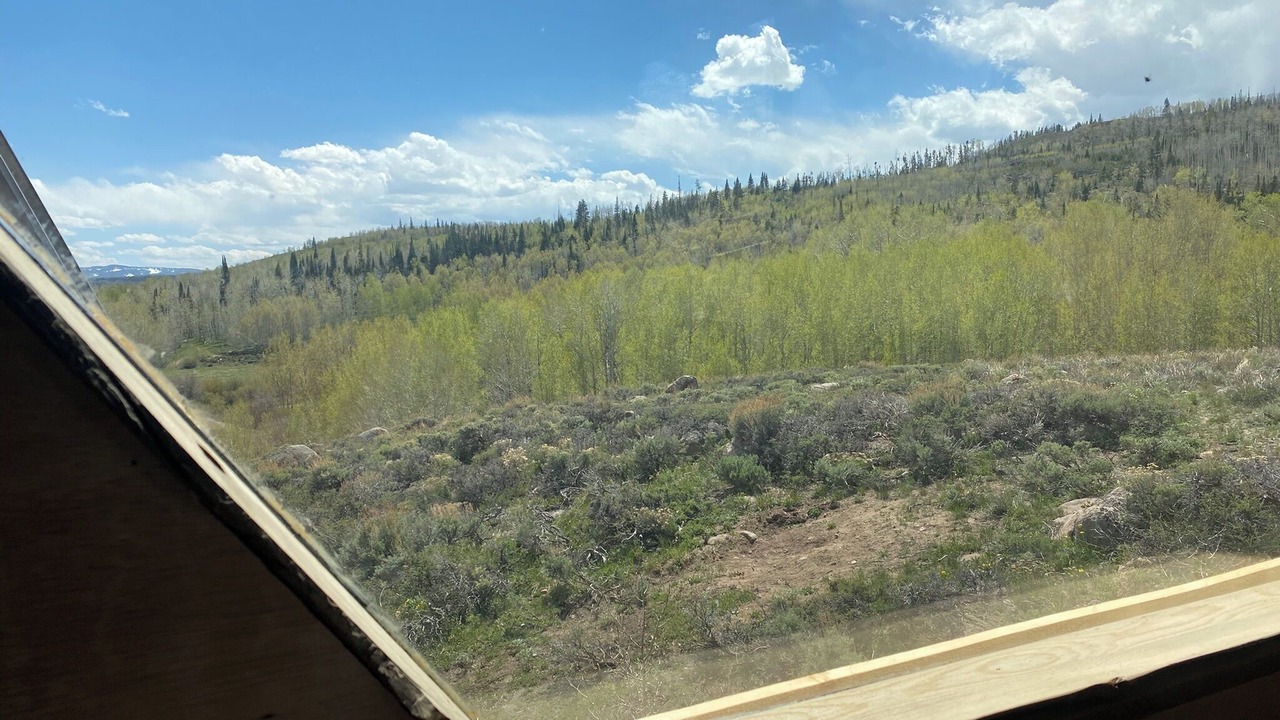 Photo of Others in Walden