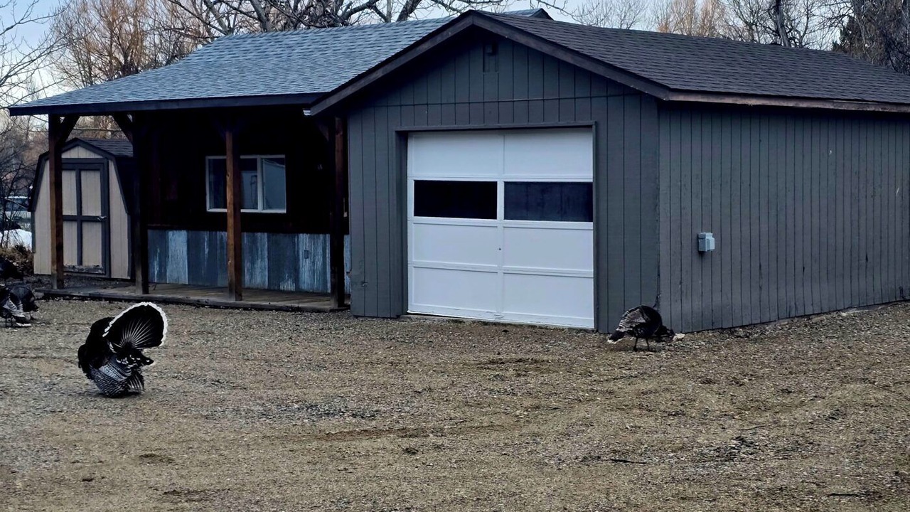 Photo of Outdoor in Absarokee