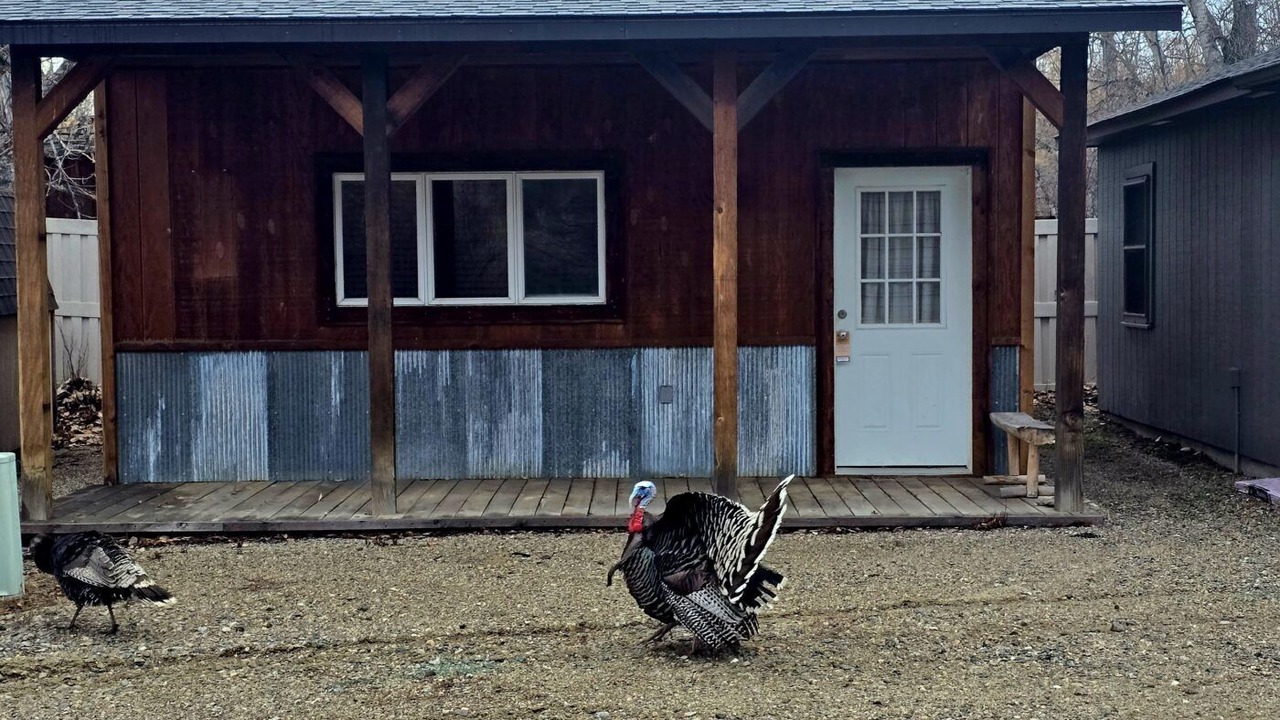 Photo of Outdoor in Absarokee