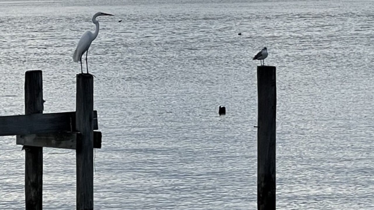 Photo of Others in Clear Lake Shores