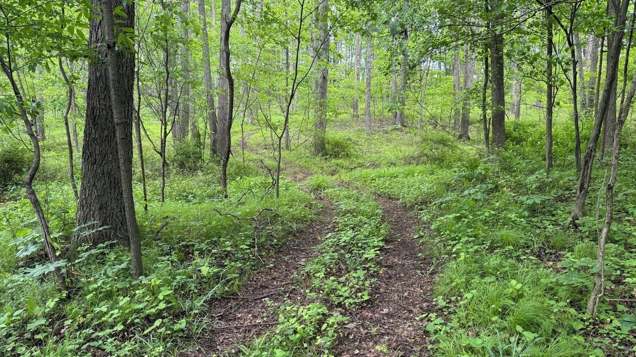 Photo of Others in Augusta