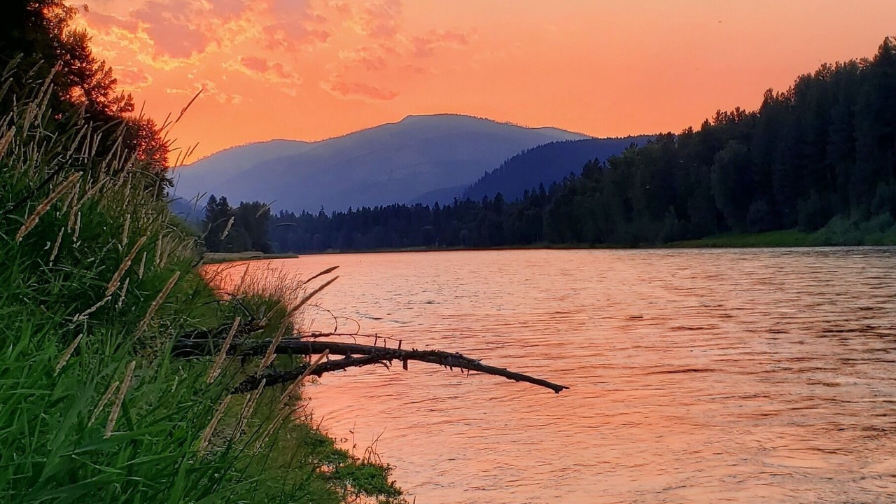 Photo of Others in Libby