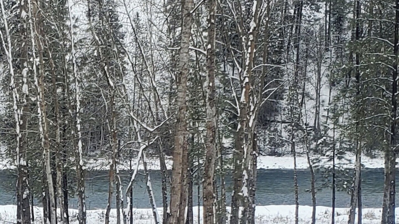 Photo of Others in Libby
