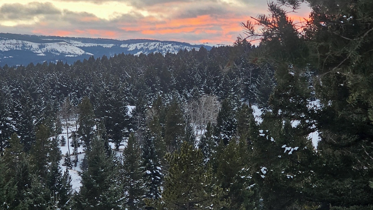 Photo of Others in Riverview Ranch