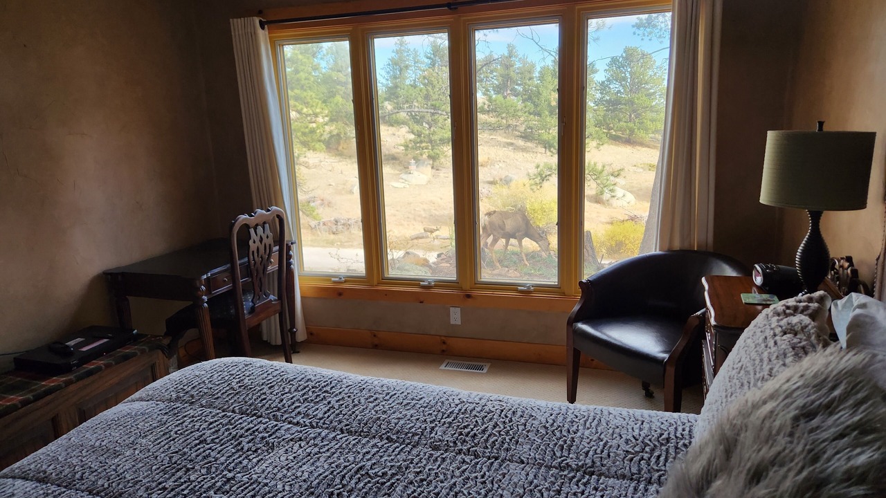 Photo of Bedroom in Red Feather Lakes