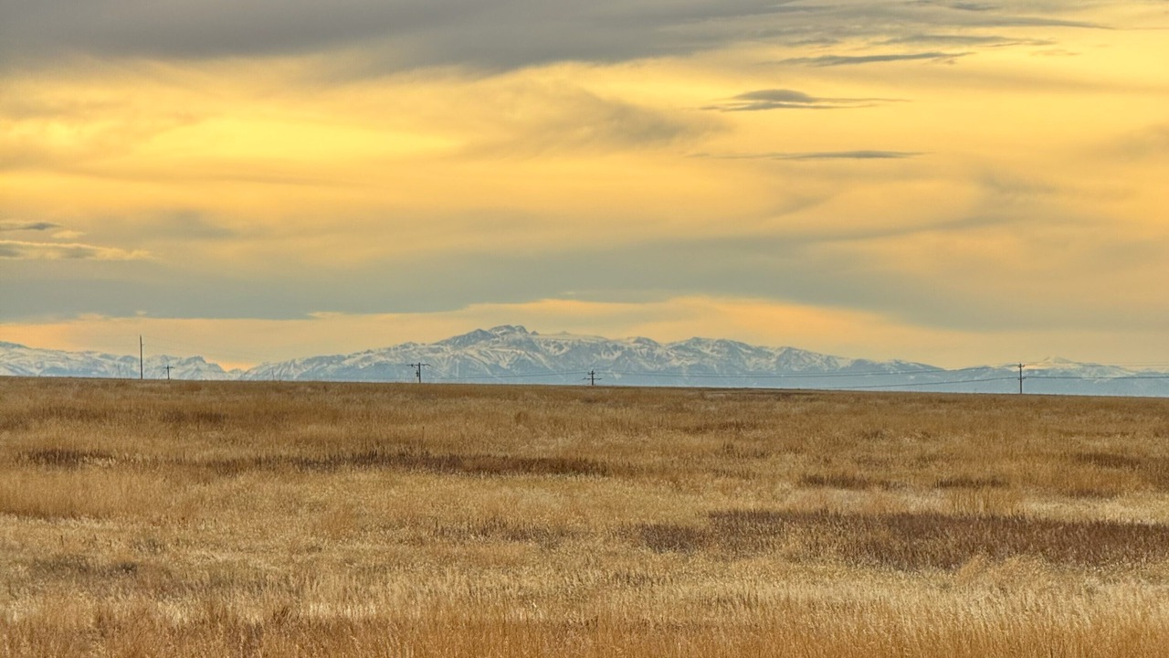 Photo of Others in Billings