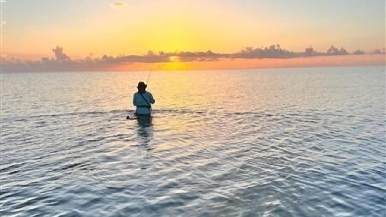 Photo of Others in Port Mansfield