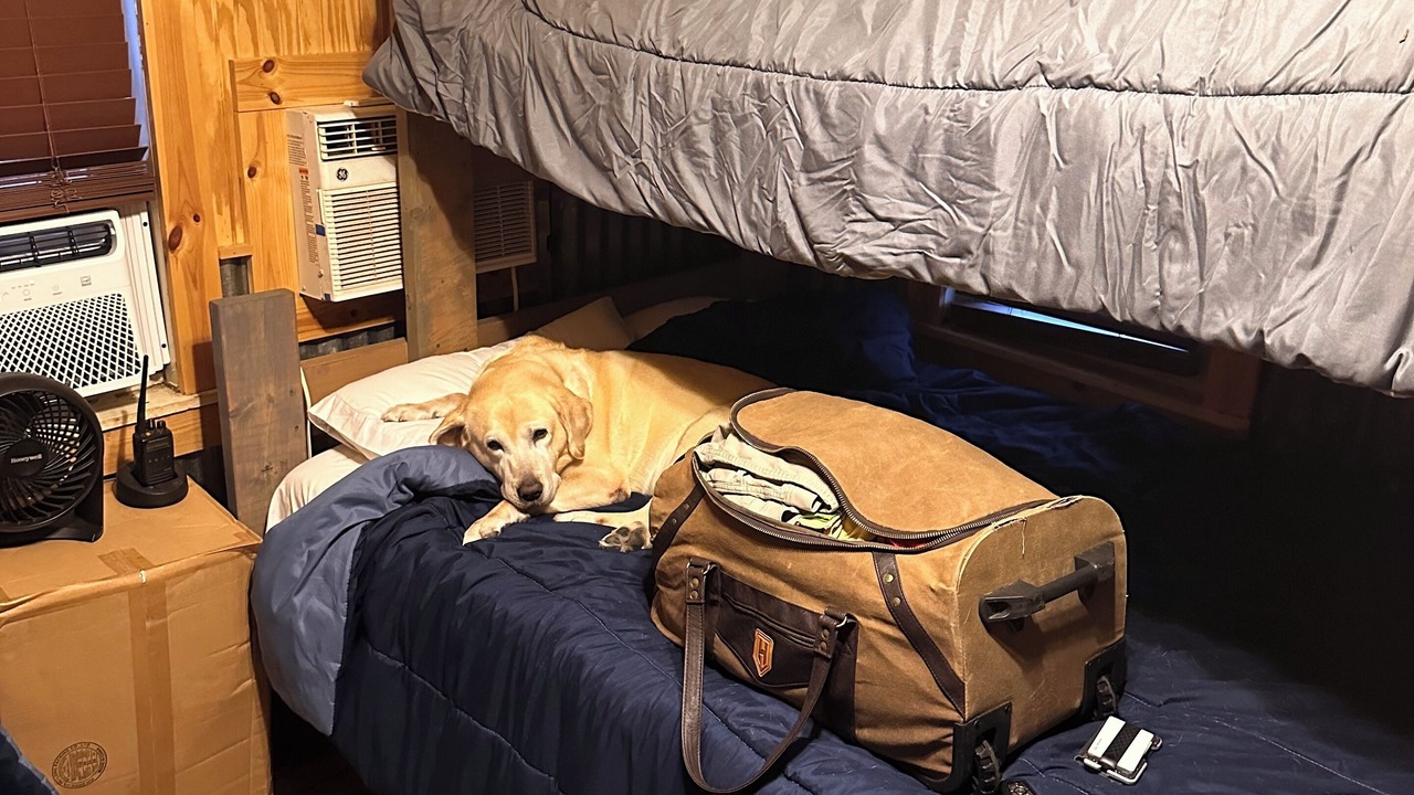 Photo of Bedroom in Grubbs
