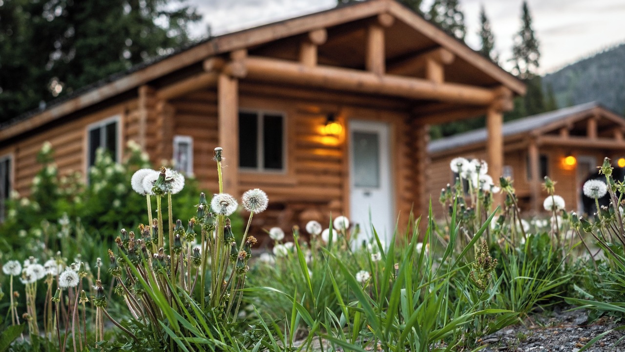 Photo of Outdoor in Moran