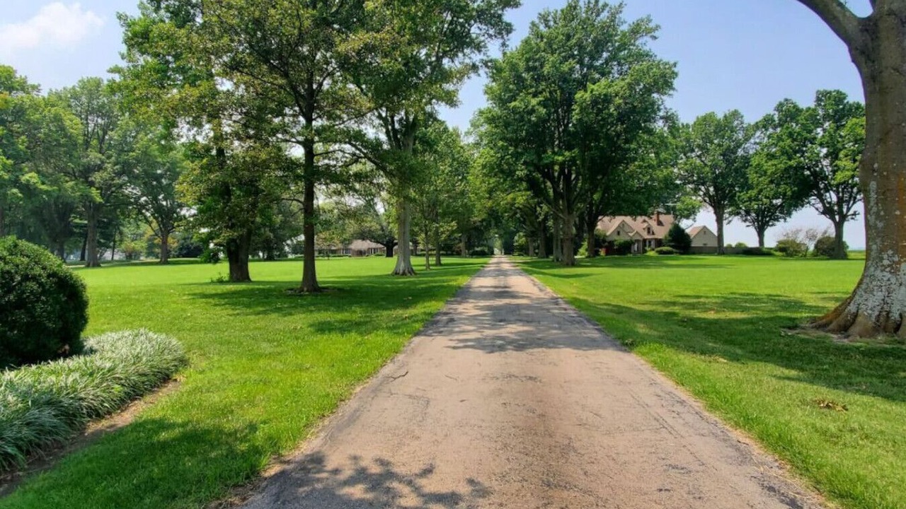 Photo of Outdoor in Driver