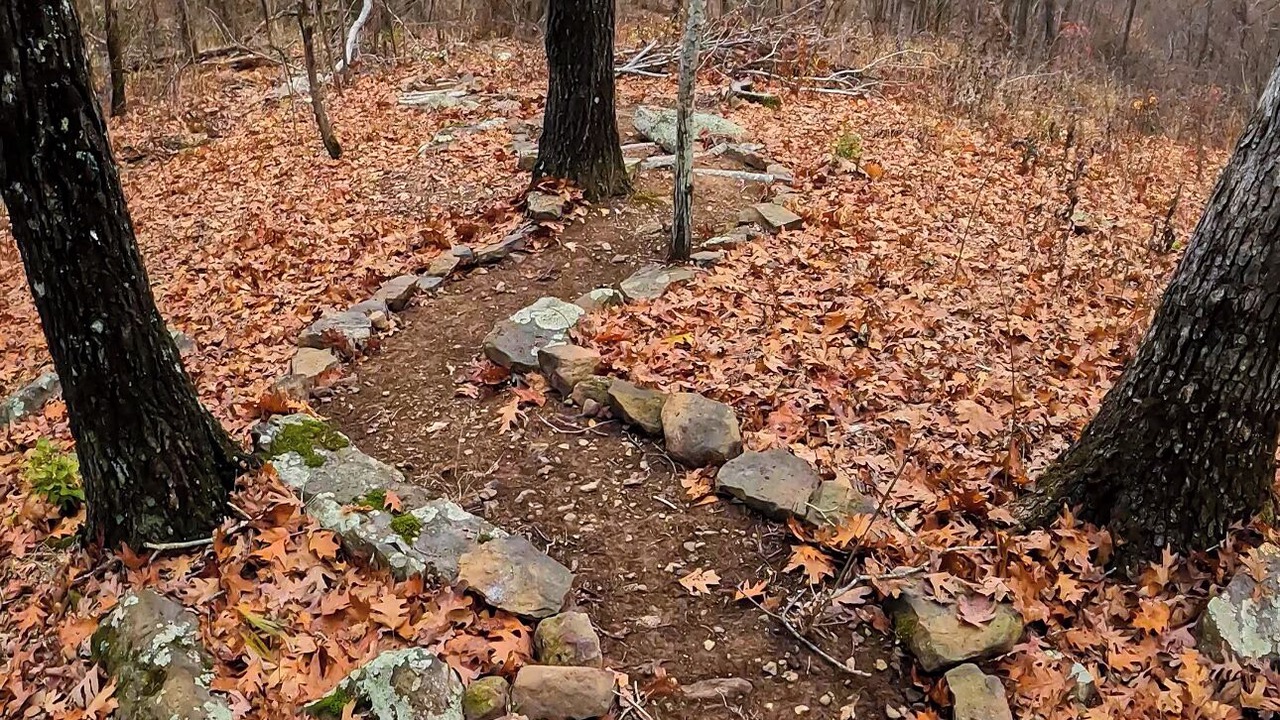 Photo of Others in Mountainburg