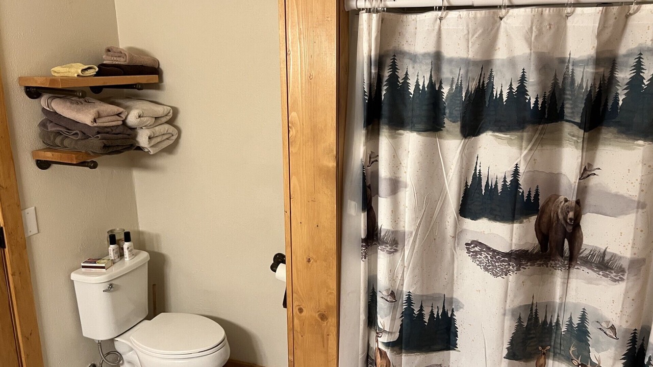 Photo of Bathroom in Seeley Lake