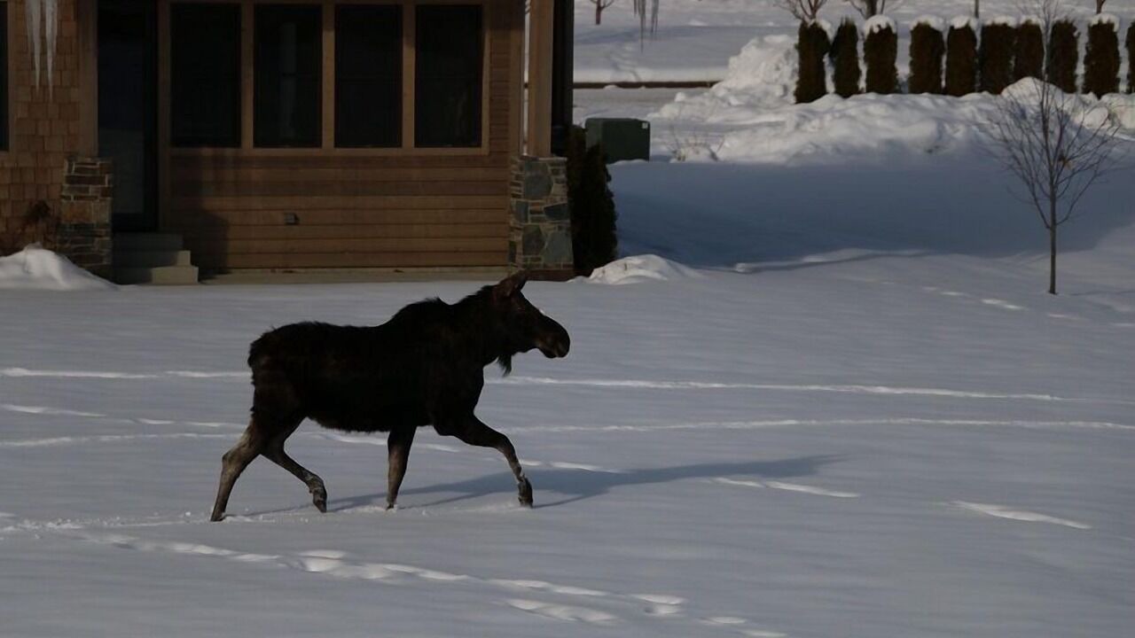 Photo of Outdoor in Dover Bay