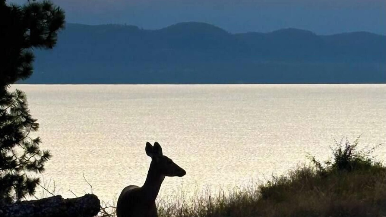 Photo of Others in Lakeside