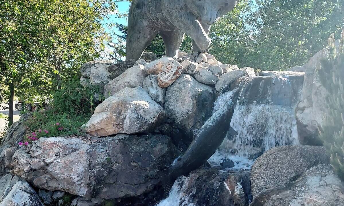 Photo of Others in Salmon