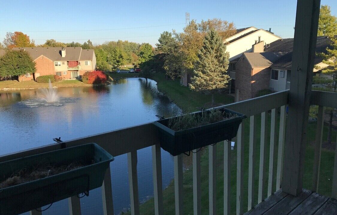 Photo of Outdoor in Pike