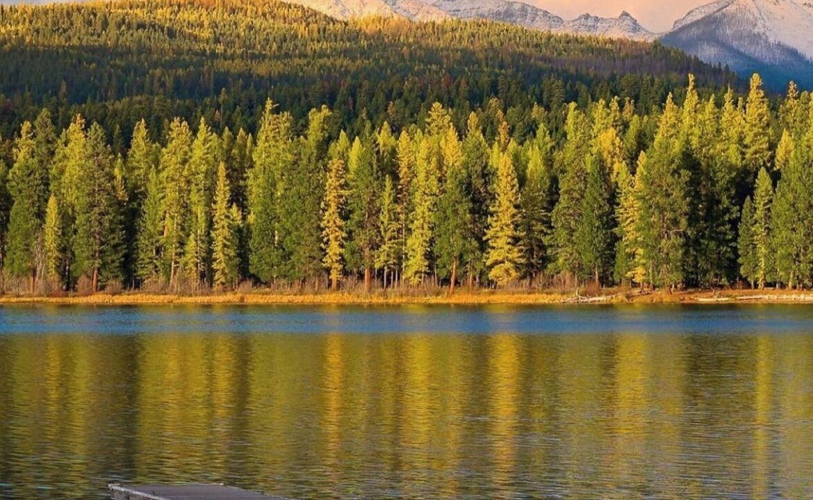 Photo of Others in Seeley Lake