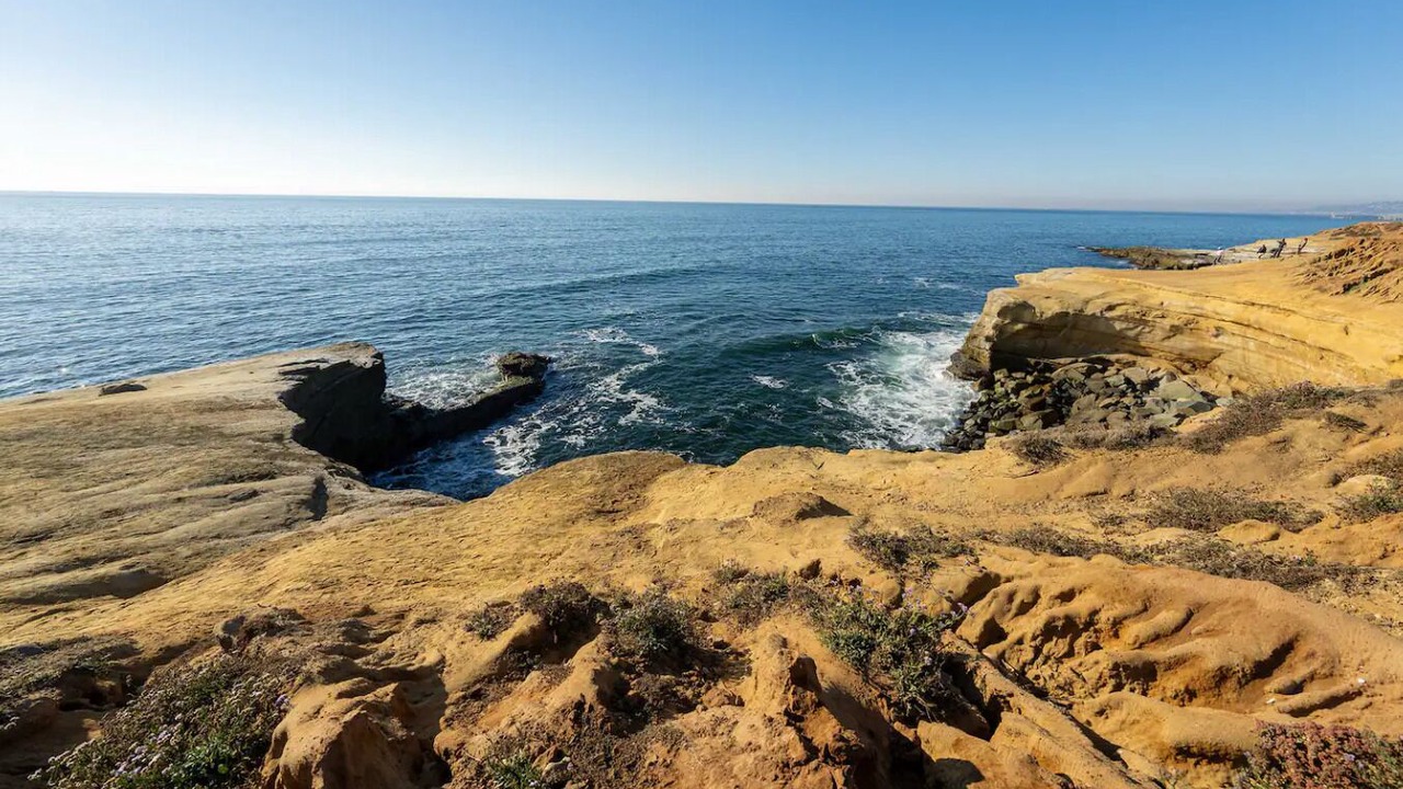 Photo of Others in San Diego
