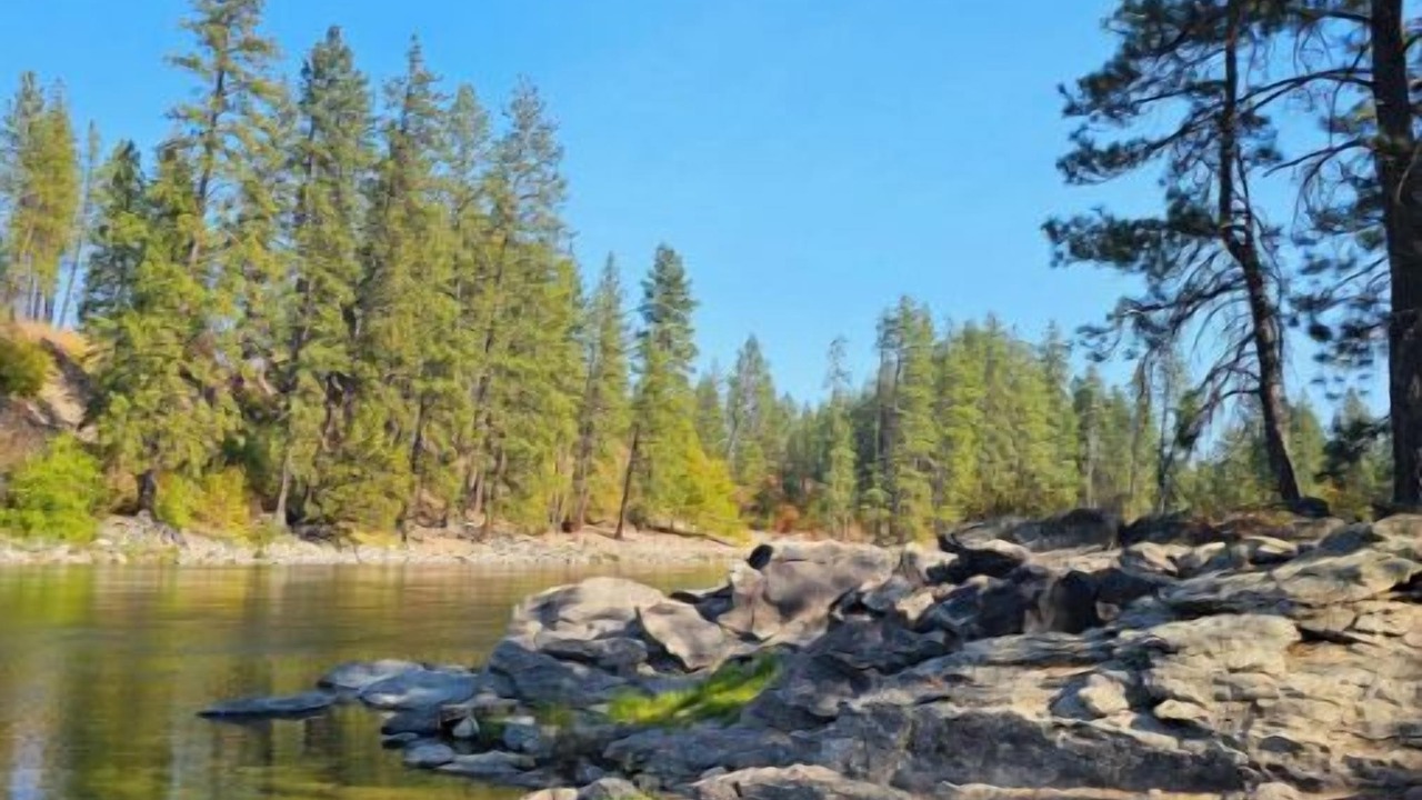 Photo of Others in Post Falls