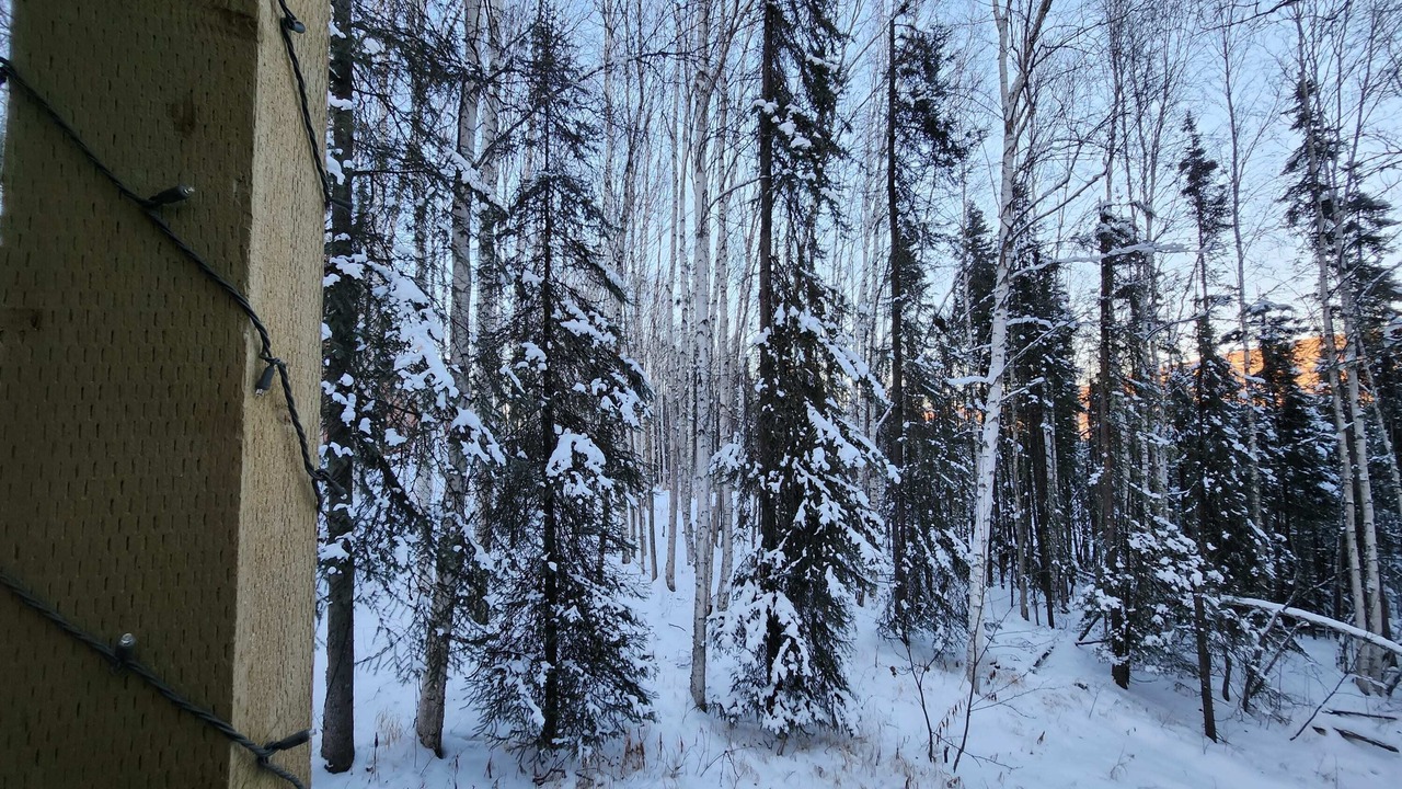 Photo of Others in Fairbanks