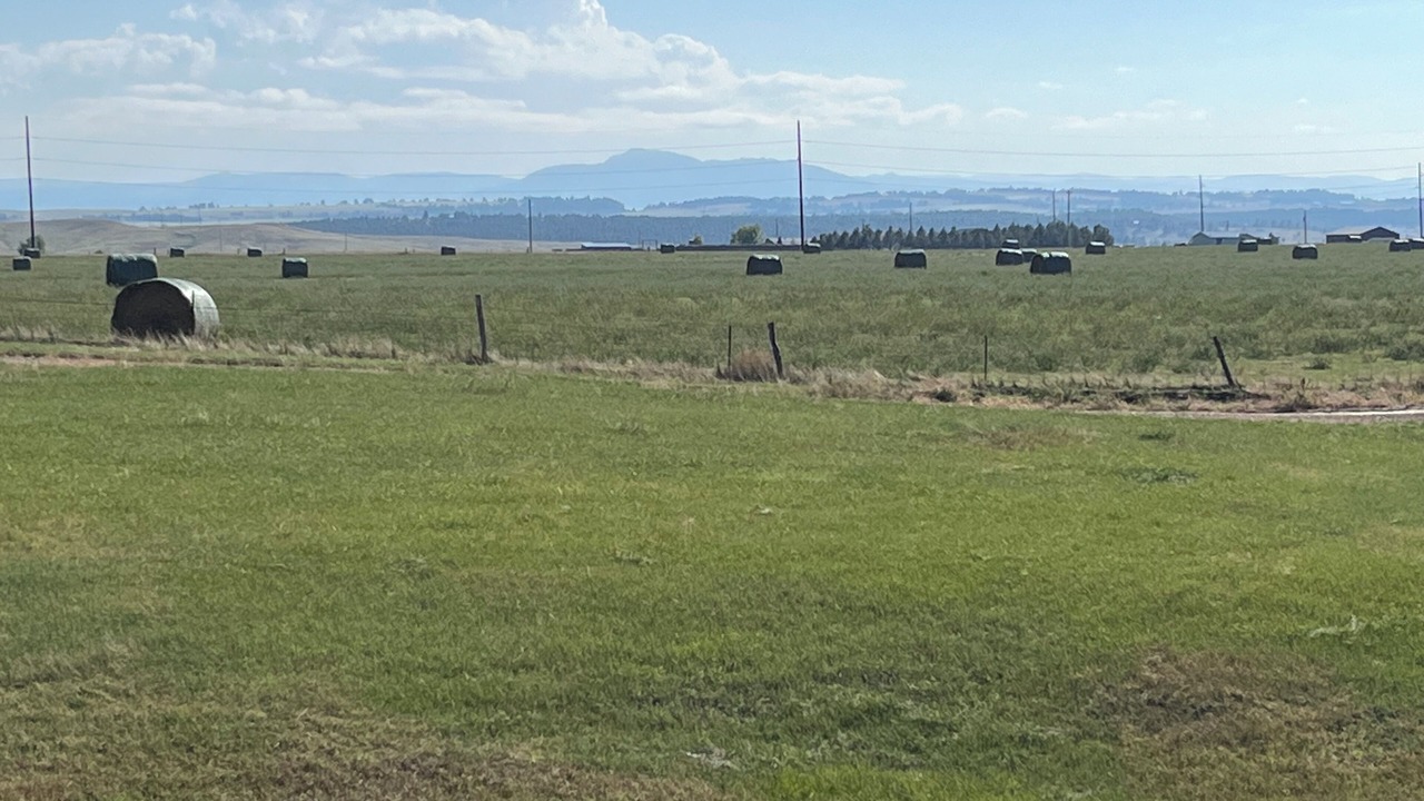 Photo of Others in Belle Fourche