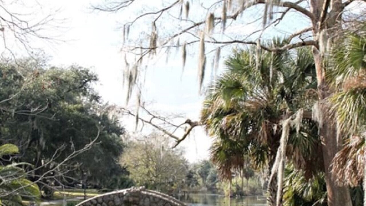 Photo of Others in Bayou St. John