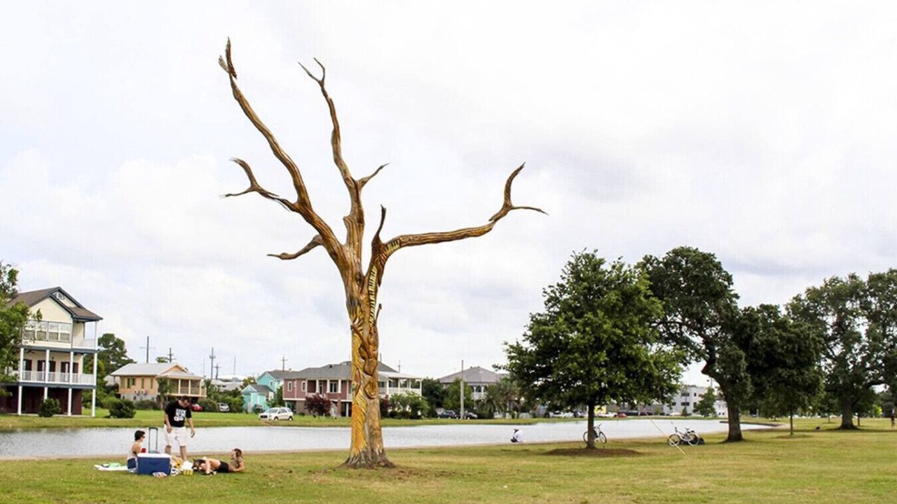 Photo of Others in Bayou St. John