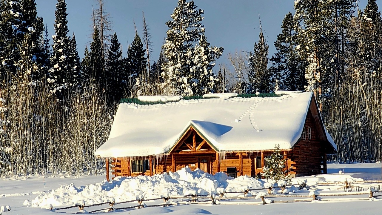 Photo of Outdoor in Daniel