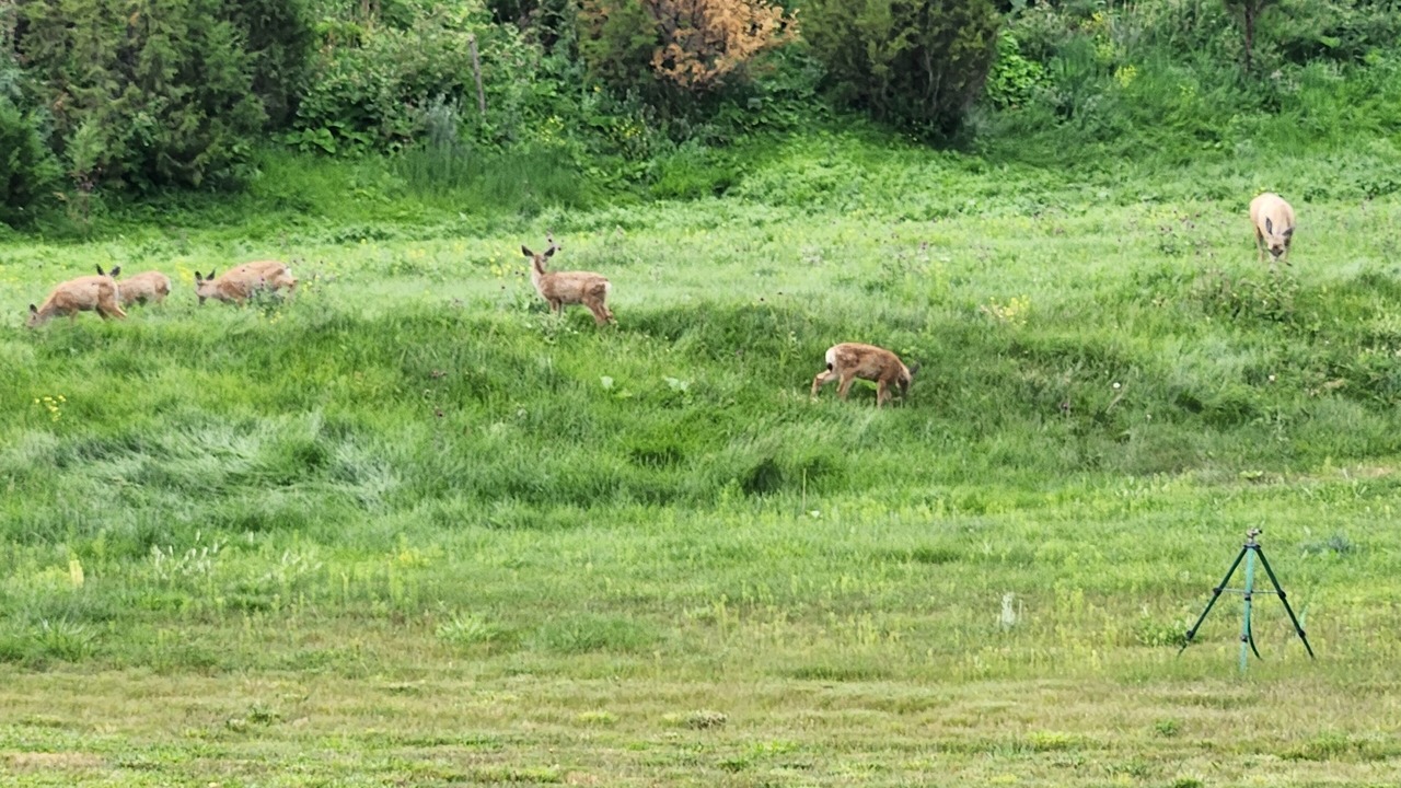 Photo of Outdoor in Broadwater County
