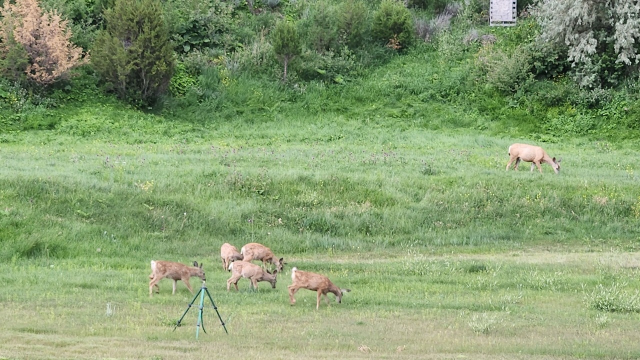 Photo of Outdoor in Broadwater County