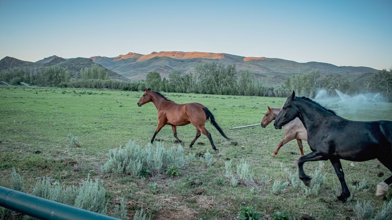 Photo of Outdoor in Blaine County