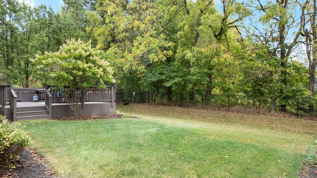 Photo of Outdoor in Westfield