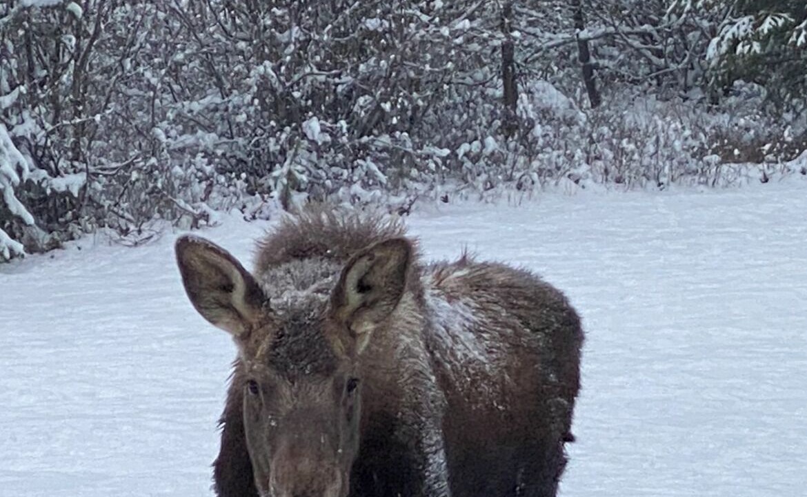 Photo of Others in Athol
