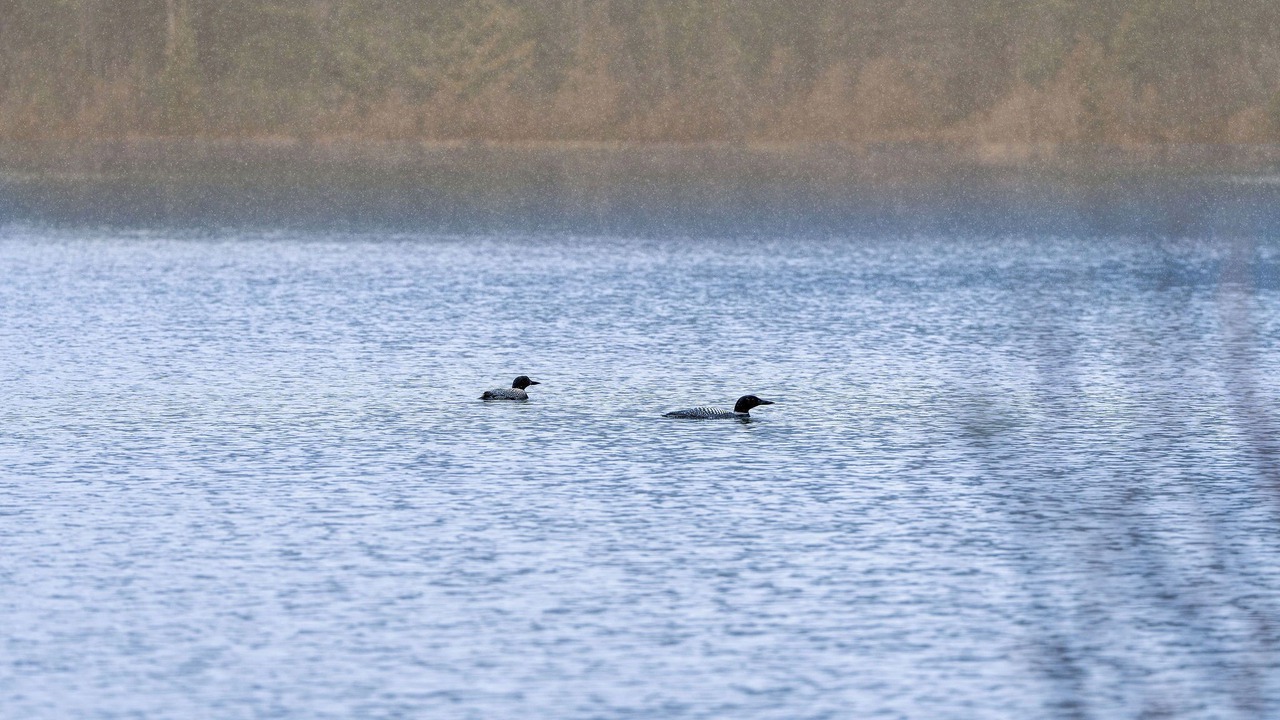 Photo of Outdoor in Columbia Falls