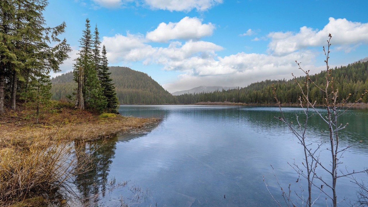Photo of Outdoor in Columbia Falls