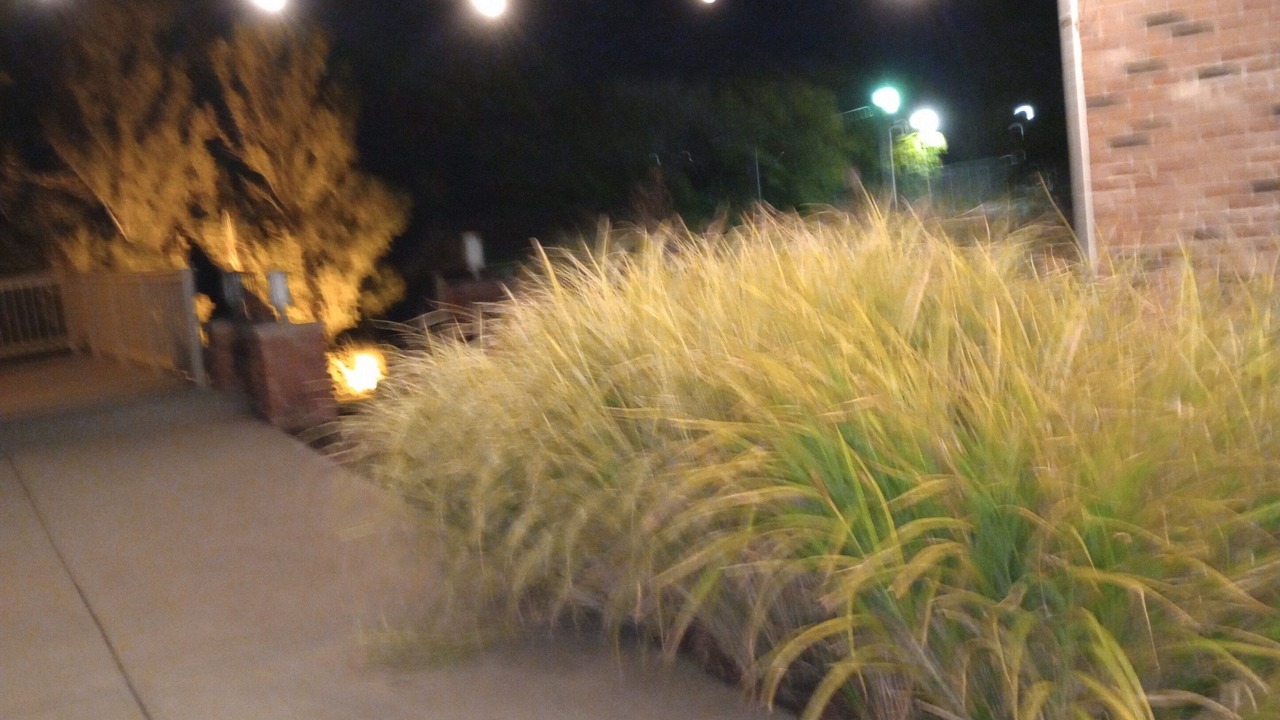 Photo of Outdoor in West Lafayette