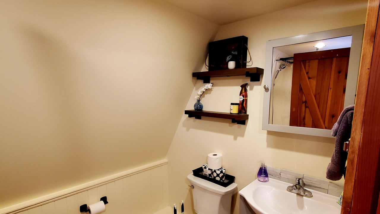 Photo of Bathroom in Seeley Lake