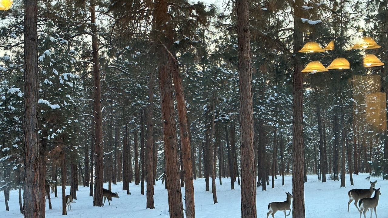 Photo of Others in Stevensville