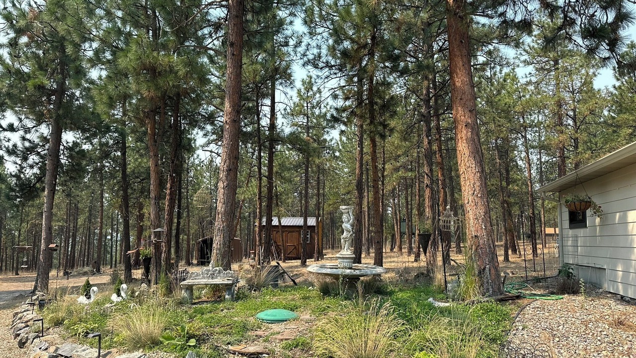 Photo of Outdoor in Stevensville