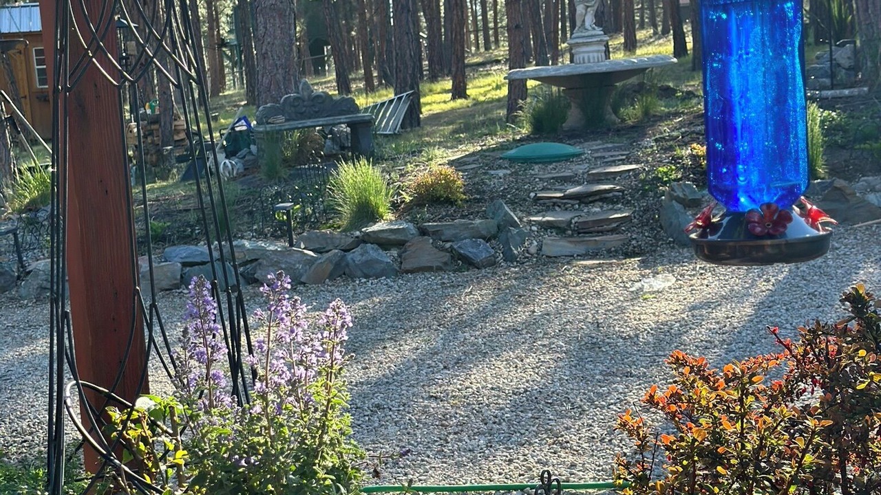Photo of Outdoor in Stevensville