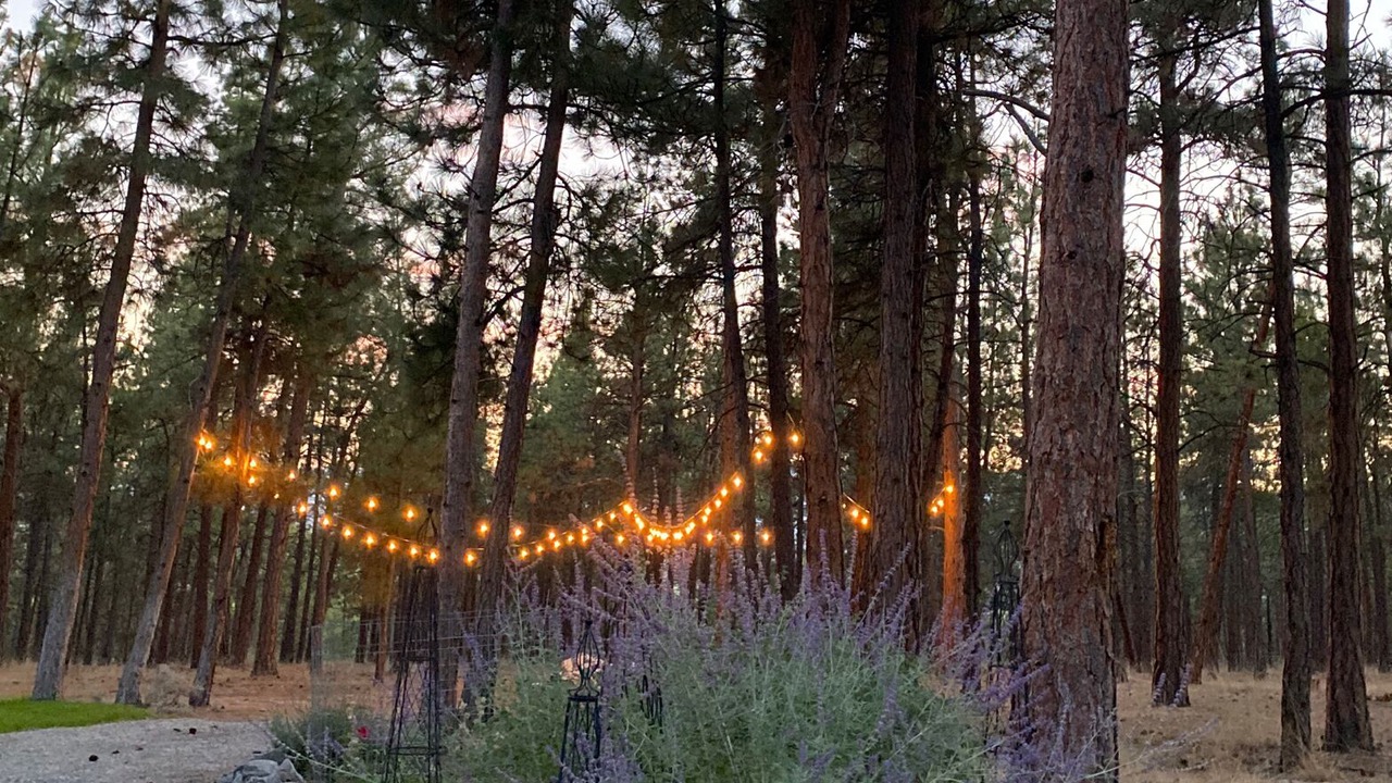 Photo of Outdoor in Stevensville