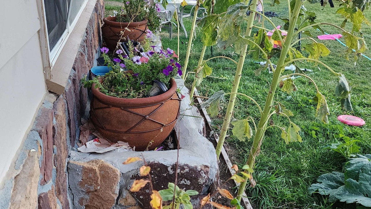 Photo of Outdoor in Buffalo