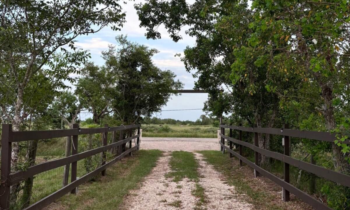 Photo of Others in Sealy
