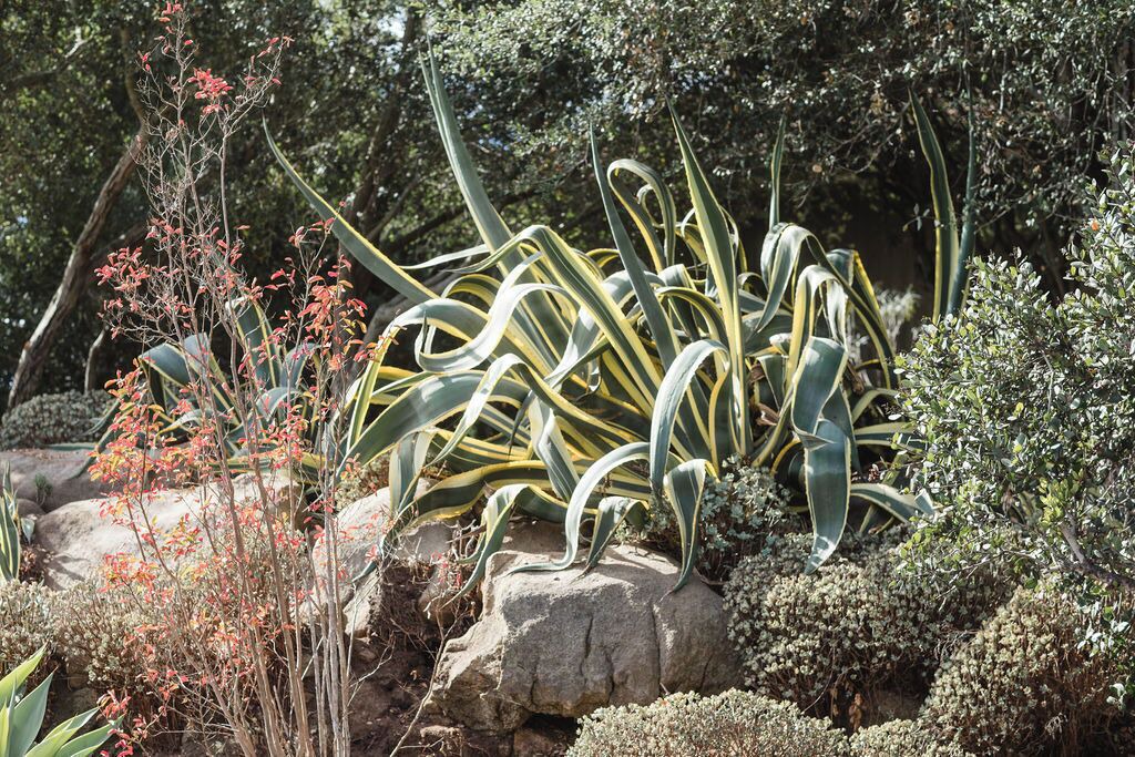 Photo of Outdoor in Escondido