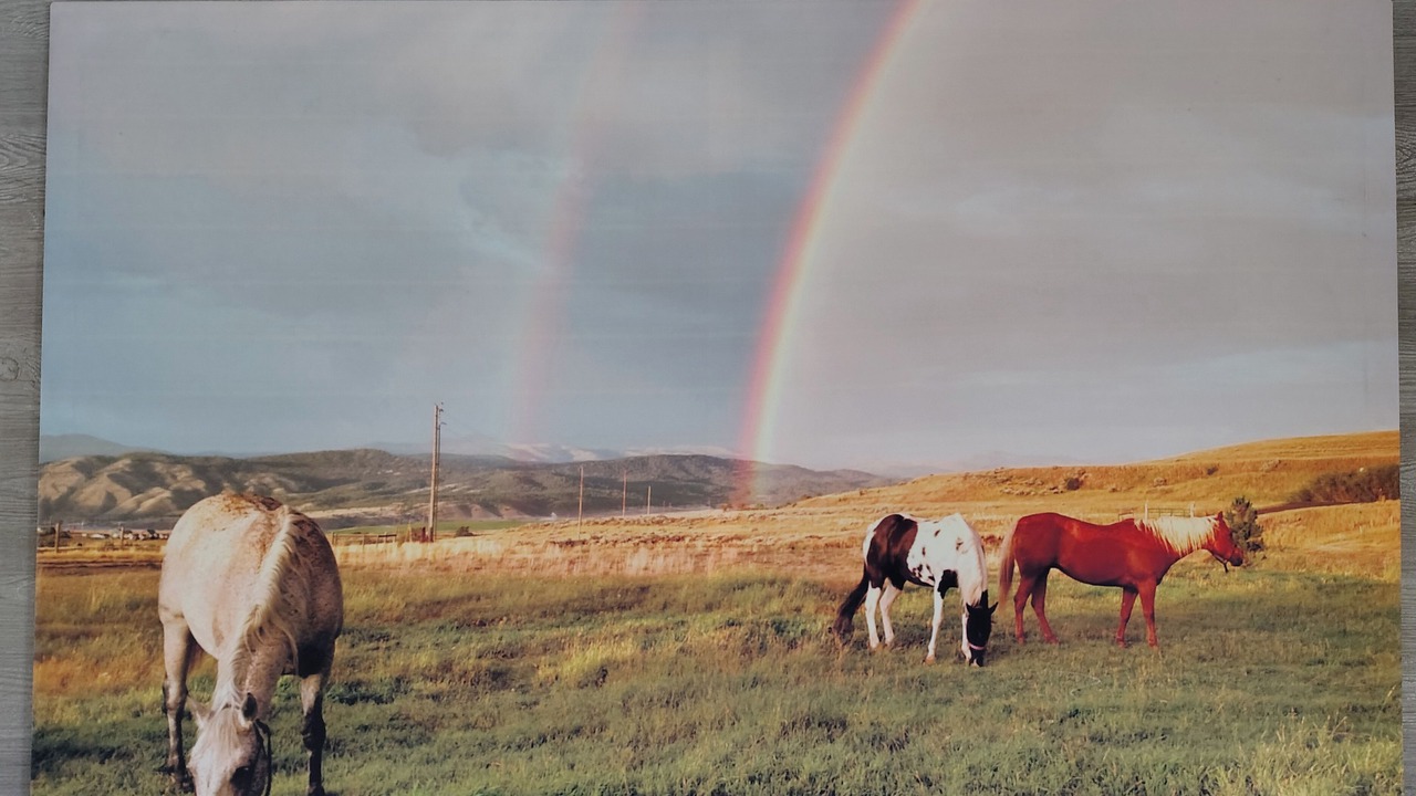 Photo of Others in Helena