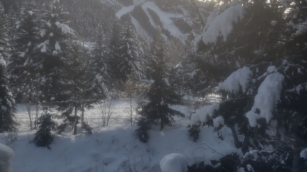 Photo of Patio Balcony in Warm Springs